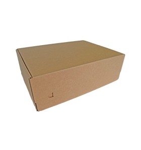 Cajas para Envíos 34-25-11 (Doble Cierre Adhesivo)